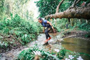 BIB: 
                            <button type="button" onclick="openModal(25518199)" class="btn btn-primary btn-sm float-right btn-popup" data-toggle="modal" data-target=".modal-high-quality">
                        <i class="fas fa-shopping-cart"></i> Add to Cart
                    </button>
                                            <button type="button" onclick="isThisMe(25518199, true)" class="btn btn-success btn-sm float-right btn-popup btn-isme hidden" data-toggle="tooltip" data-placement="bottom" title="นี่คือรูปของคุณใช่ไหม คลิกที่นี่เพื่อเอาเข้าอัลบั้ม">
                        <i class="fas fa-plus"></i> Add to album
                    </button>
                    <button type="button" onclick="isThisMe(25518199, false)" class="btn btn-warning btn-sm float-right btn-popup btn-isnotme hidden">
                        <i class="fas fa-ban"></i> Remove from album
                    </button>